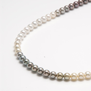 南洋パールカラーグラデーションネックレス